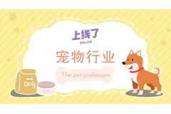 寵物店如何從零打造一款優質小程序？