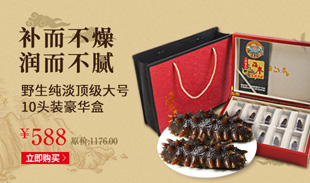 燕參王